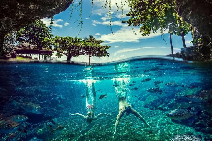 An underwater view of two people swimming in the crystal clear waters of Piula Cave Pool, Samoa.