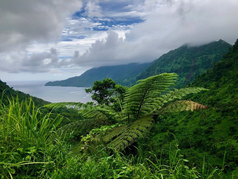 Scenic view looking down toward Fagaloa Bay, Samoa.